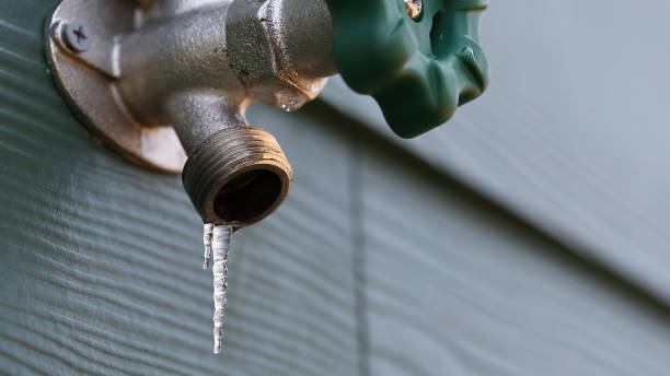 Best Clogged Drain Plumber  in Taylor, AZ