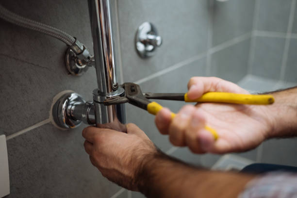 Best Commercial Plumbing Services  in Taylor, AZ